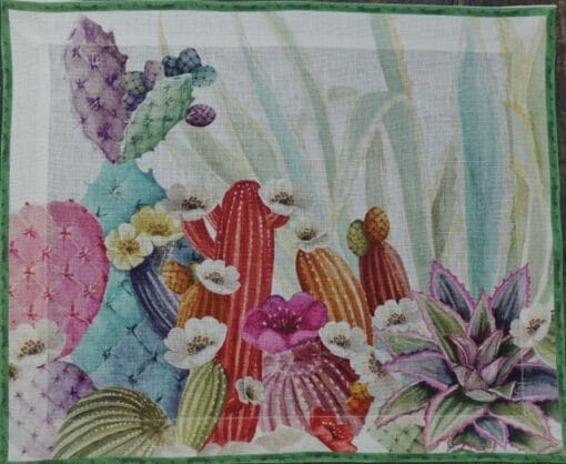 Individual Cactus - Imagen 8