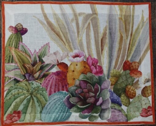 Individual Cactus - Imagen 3