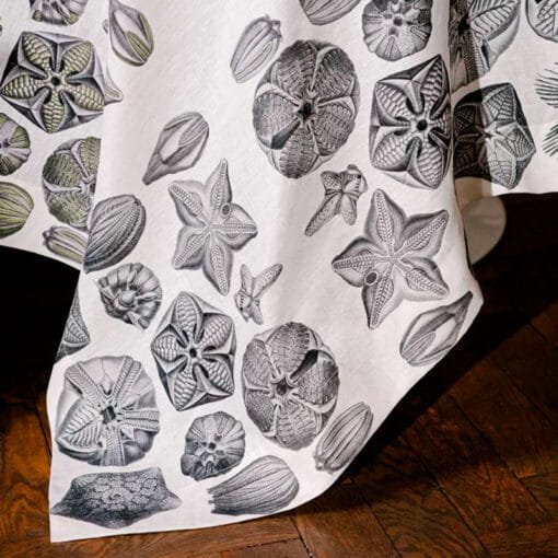Mantel de lino "Blastoidea" - Imagen 3