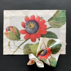 individual y servilleta fruit love 4b