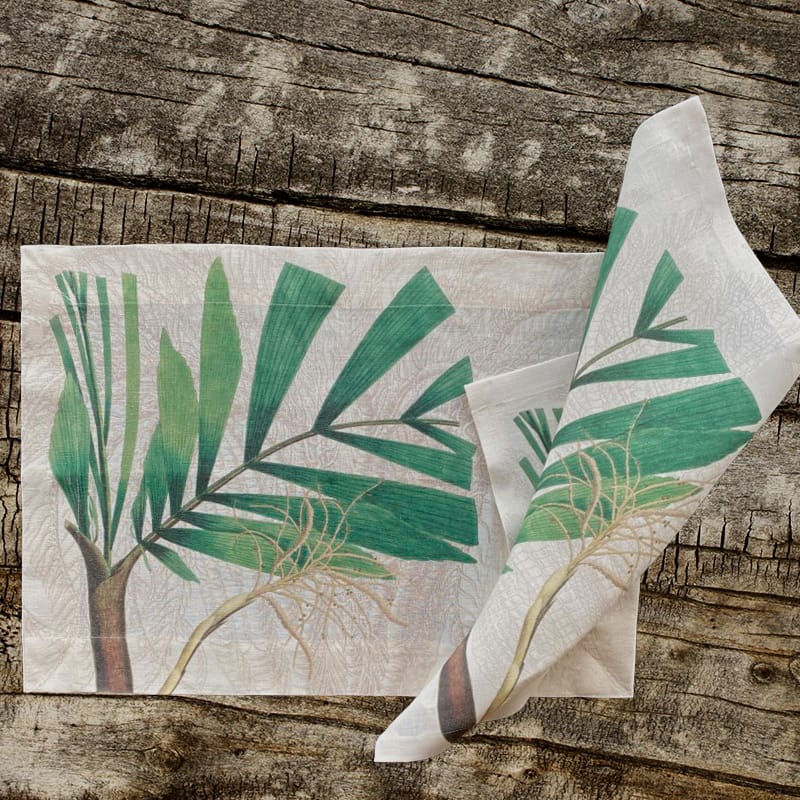 individual Palmier 1bs - La Bottega di Casa