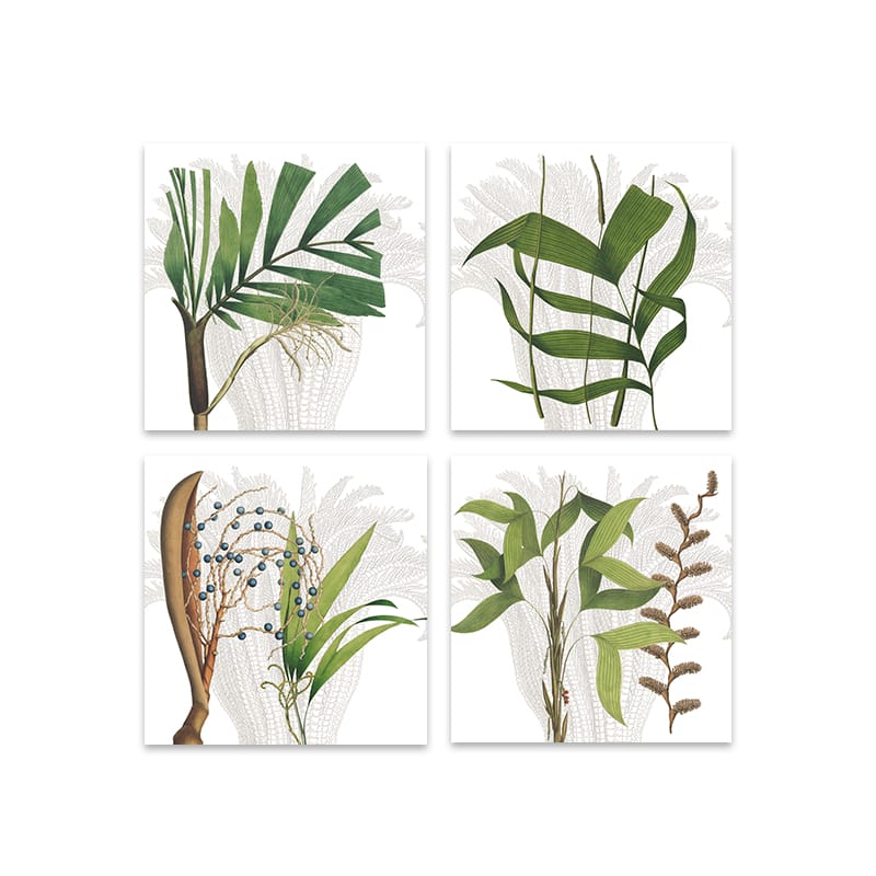 servilletas Palmier - La Bottega di Casa