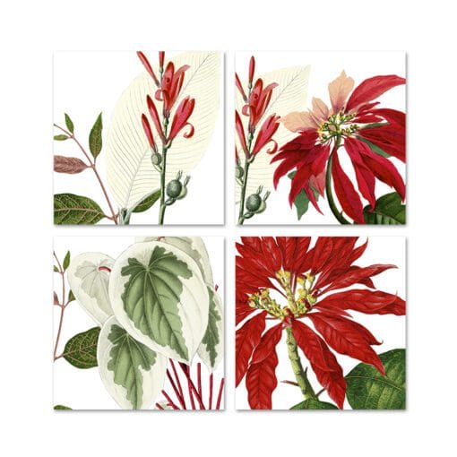 Set de 4 servilletas Ilex