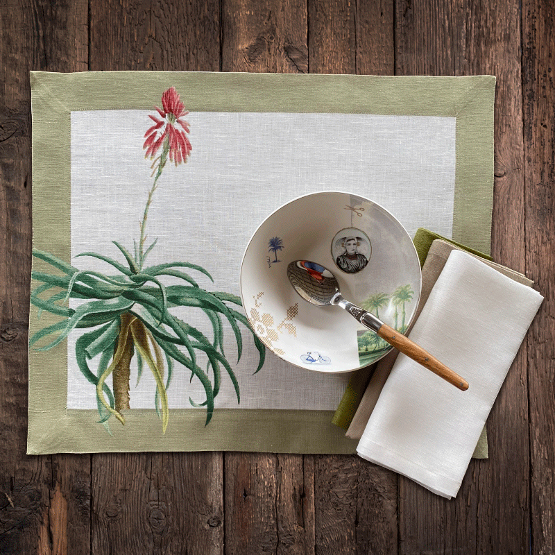 Individual Aloe - Imagen 2