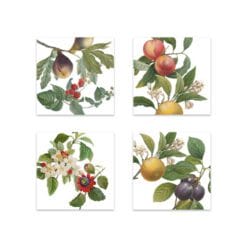 Set de 4 servilletas Fruit Love