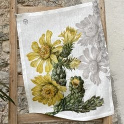 Secador Cactus 4