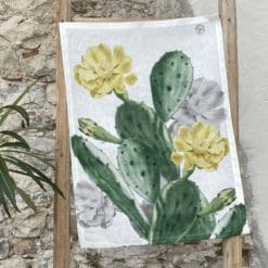 Secador Cactus 5