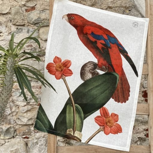 Secador Perico 8