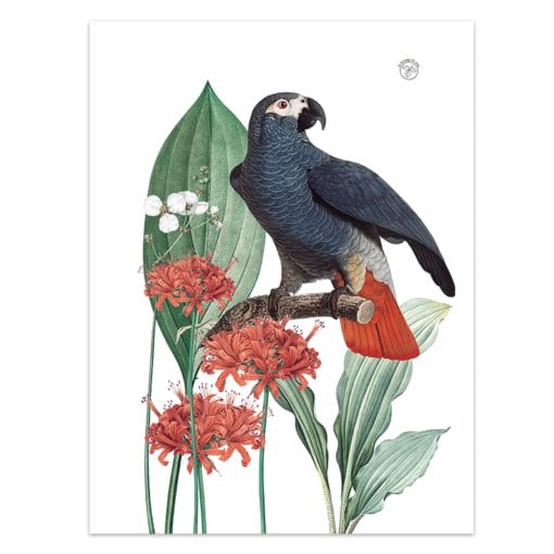 Secador Perico 1 - Imagen 2
