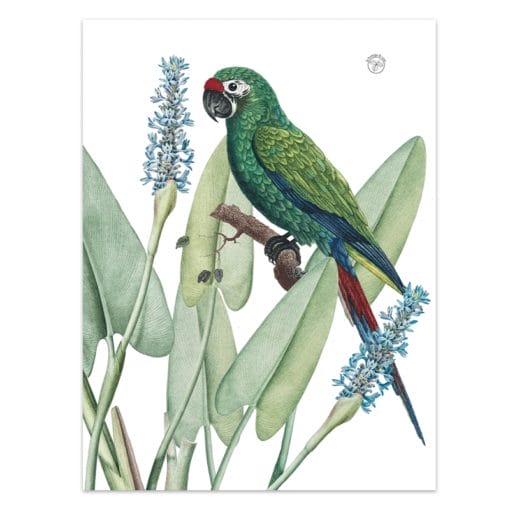 Secador Perico 2 - Imagen 2