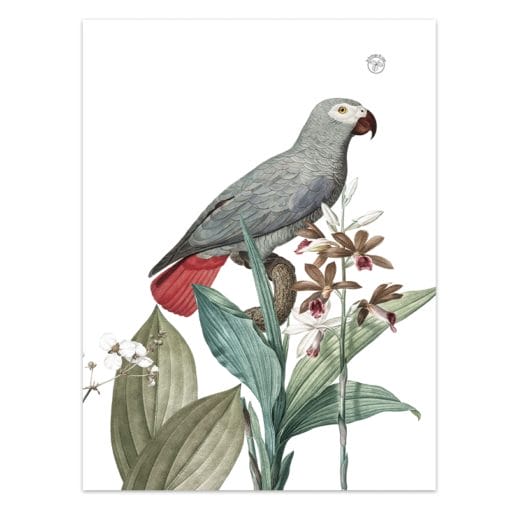 Secador Perico 4 - Imagen 2