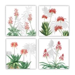 Set de 4 servilletas Aloe 1
