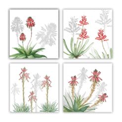 Set de 4 servilletas Aloe 2