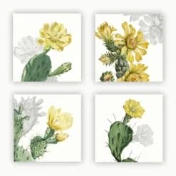 Set de 4 servilletas Nopal